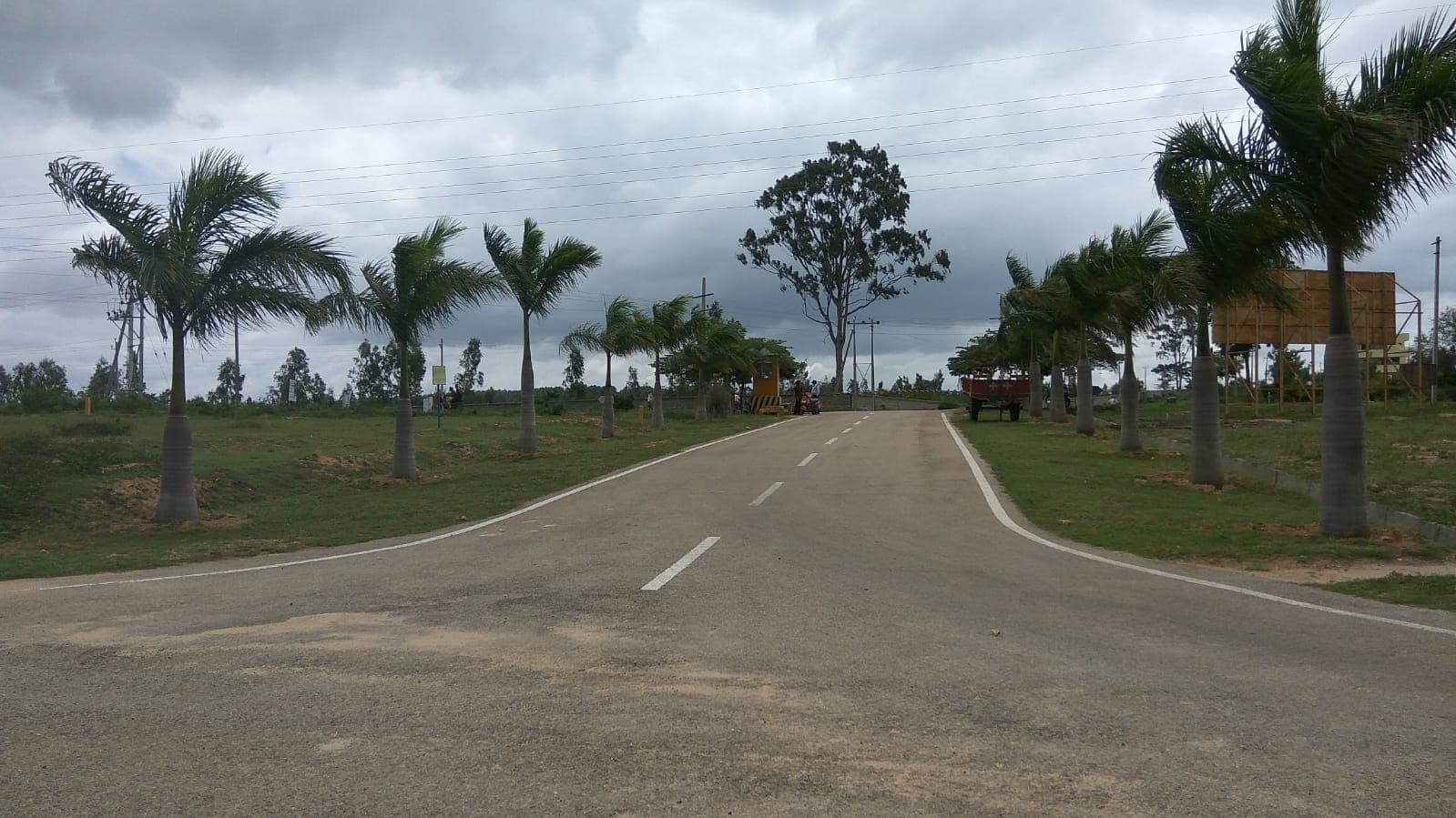 Palm-lined avenue in an Anu Developers layout